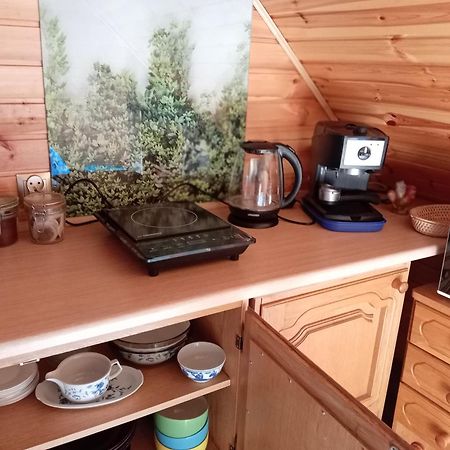Appartement U Janusza I Grazyny à Ściegny Extérieur photo
