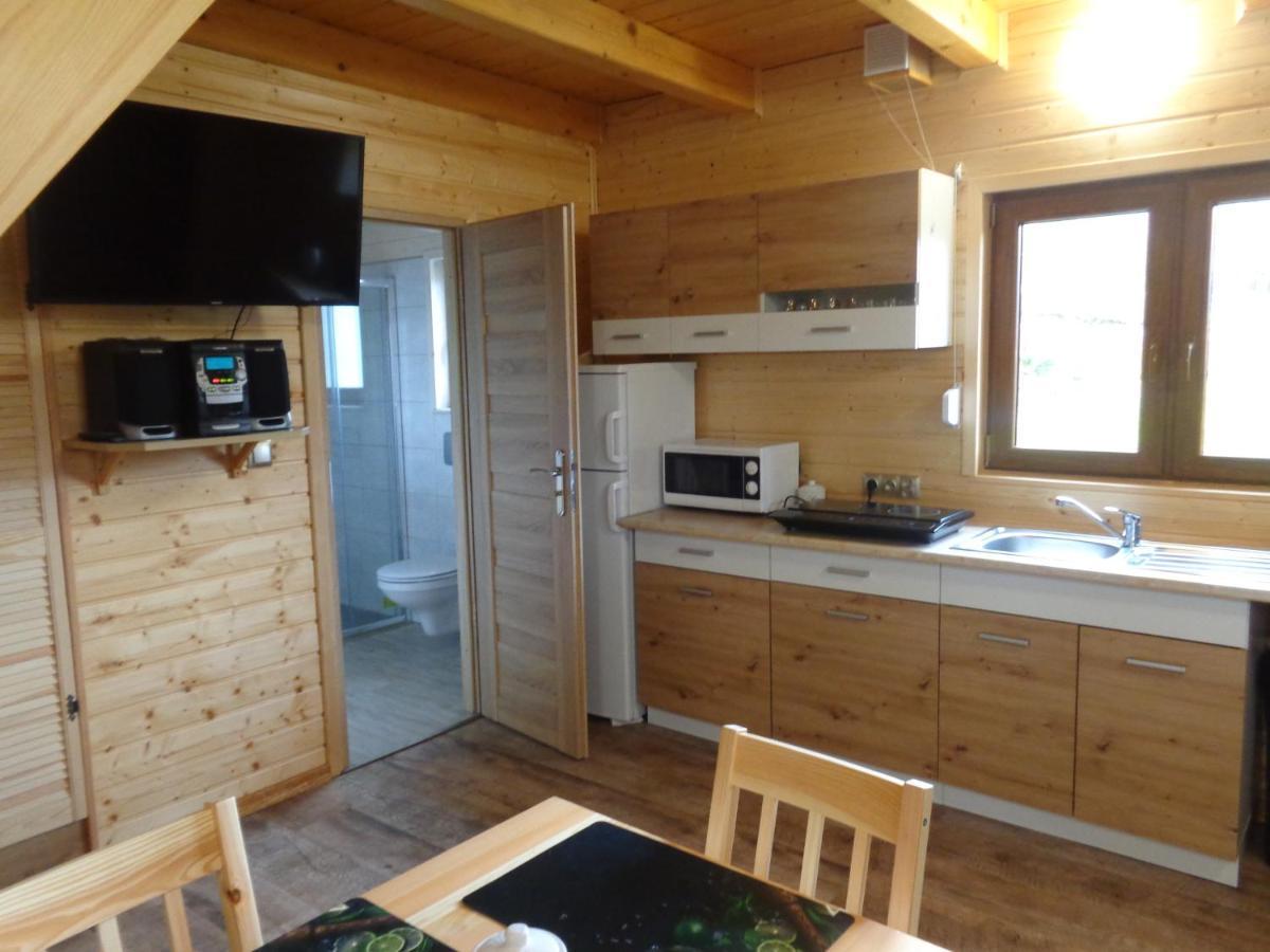 Appartement U Janusza I Grazyny à Ściegny Extérieur photo